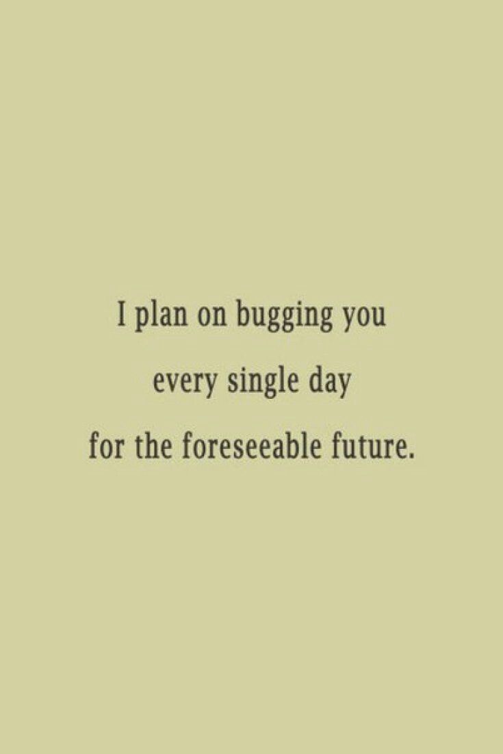 a quote that says i plan on bugging you every single day for the foreseeable future