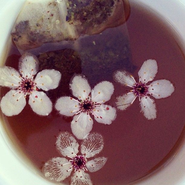 a bowl filled with liquid and flowers on top of it