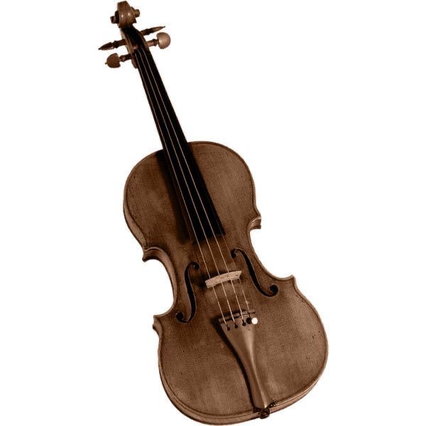 an old violin on a white background