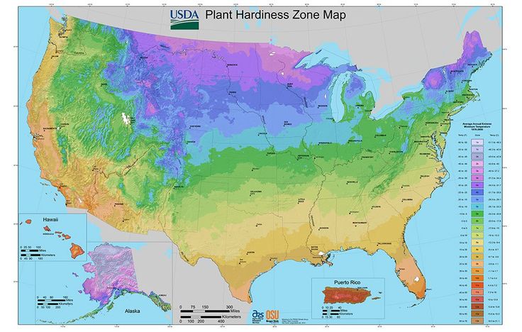 a map of the united states showing land mass and plant lands in each state,