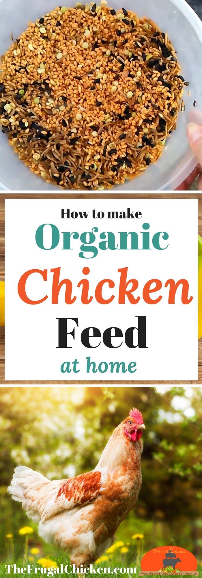 an image of organic chicken feed at home