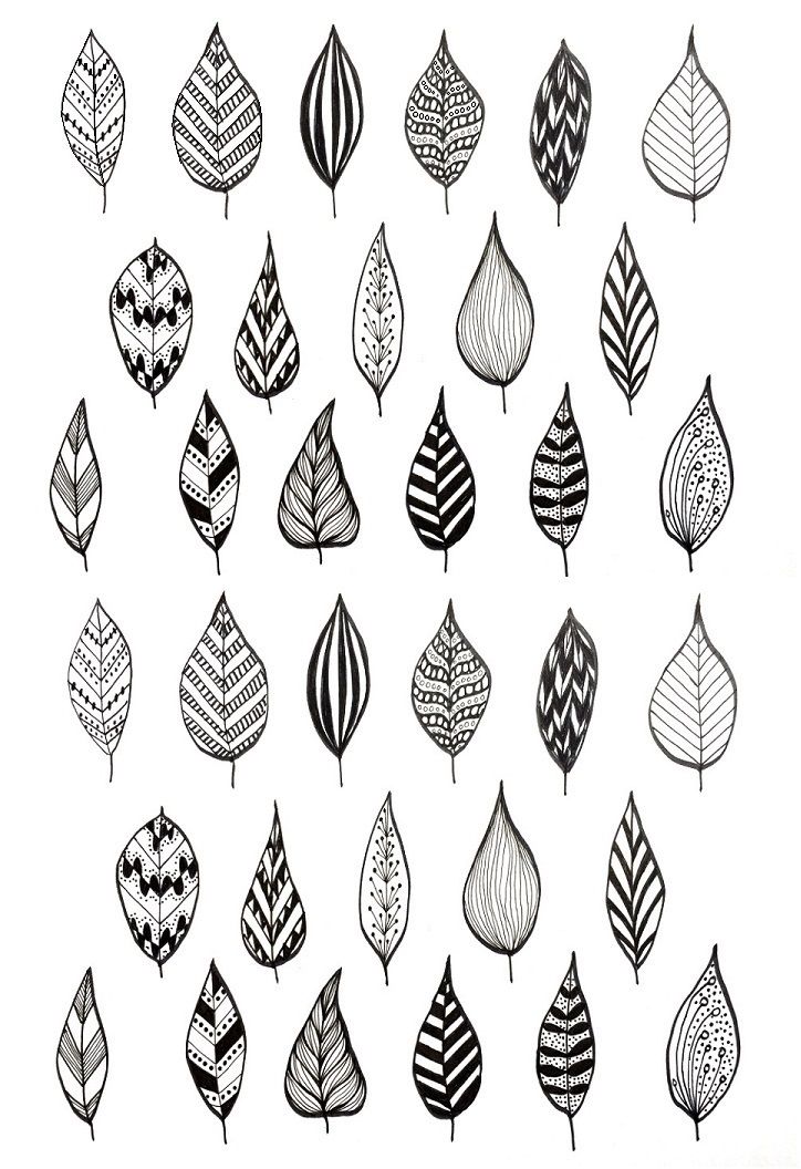 Leaf Pattern Drawing, Nature Patterns Drawing, Zentangle Leaf Patterns, Leaf Texture Drawing, Zentangle Plants, Leaves Zentangle, Leaf Doodle Art, Modele Zentangle, Optical Illusion Tattoos