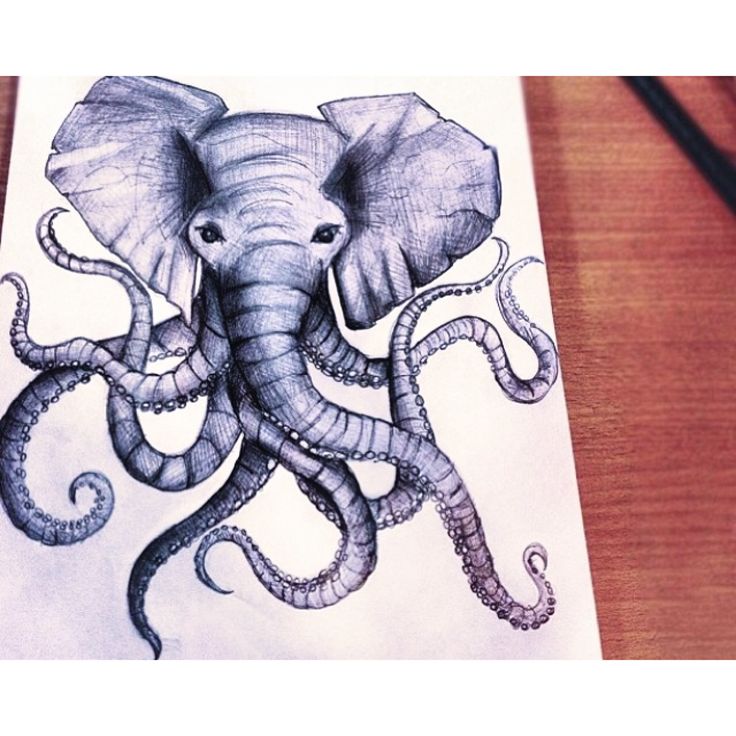 an elephant drawn in pencil on top of a piece of paper with the image of an octopus