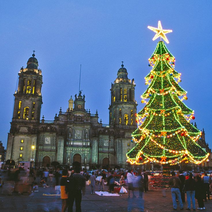 a large christmas tree is lit up in front of a building with many people standing around it