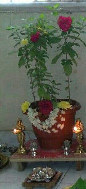 a potted plant sitting on top of a table next to candles and other items