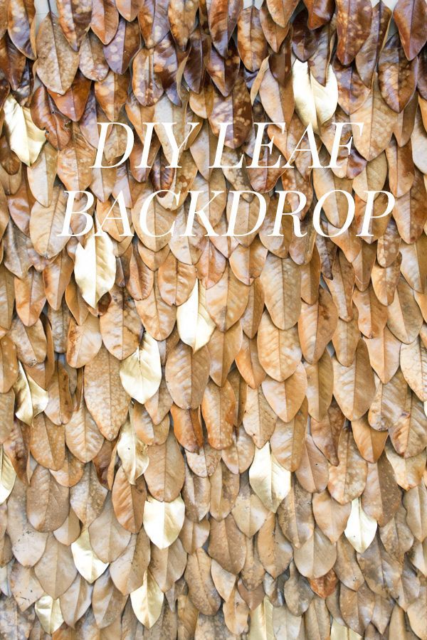 the words plative back drop are displayed on a wall made out of leaves