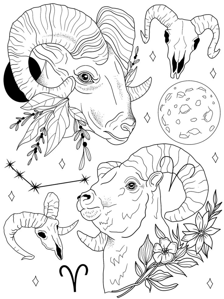 the zodiac sign with two rams and an antelope on it's head