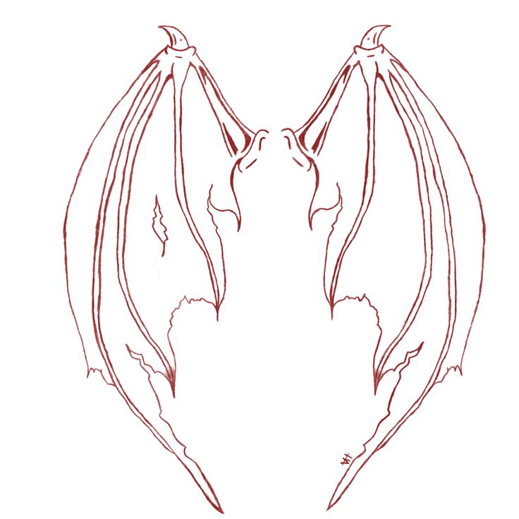 two bats facing each other with their wings spread out to form the shape of a heart