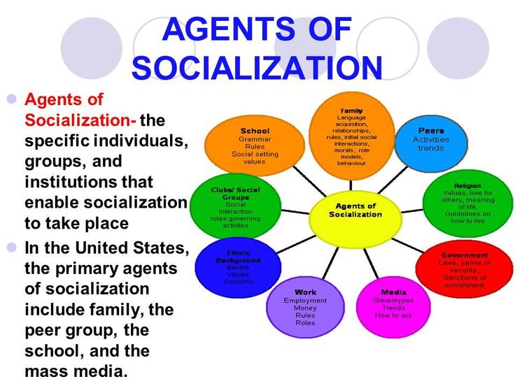 an image of the social organization that is represented by several circles with words on them