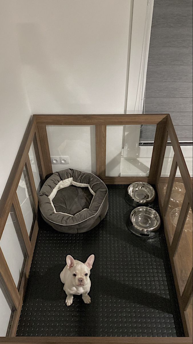 a small white dog sitting on top of a black mat next to a wooden crate