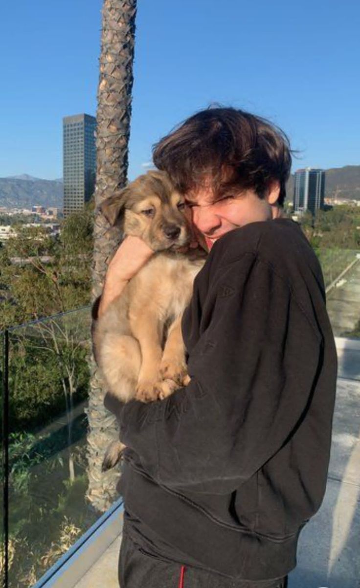 a man holding a dog in his arms on top of a balcony next to a palm tree