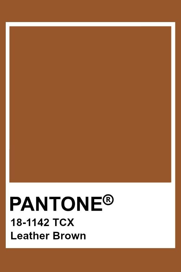 the pantone color is brown and has a white rectangle on top of it