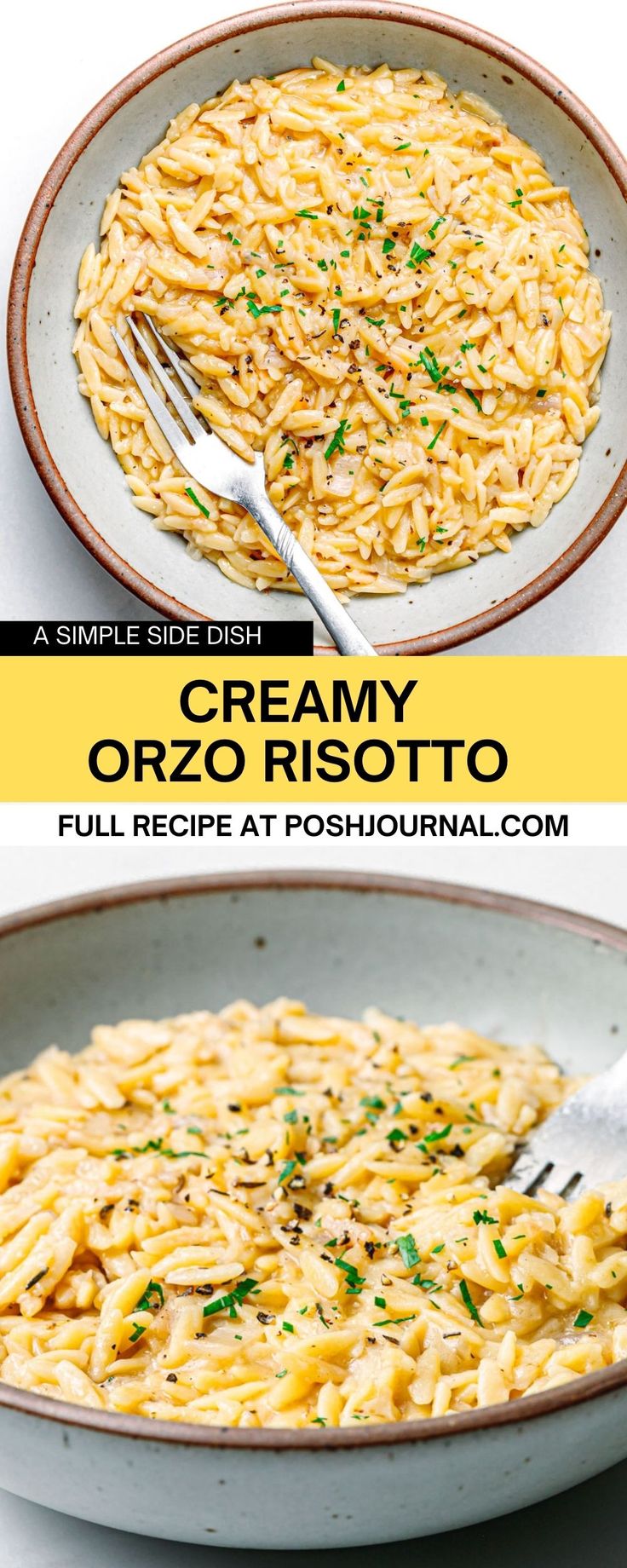 two plates filled with creamy orzo risotto