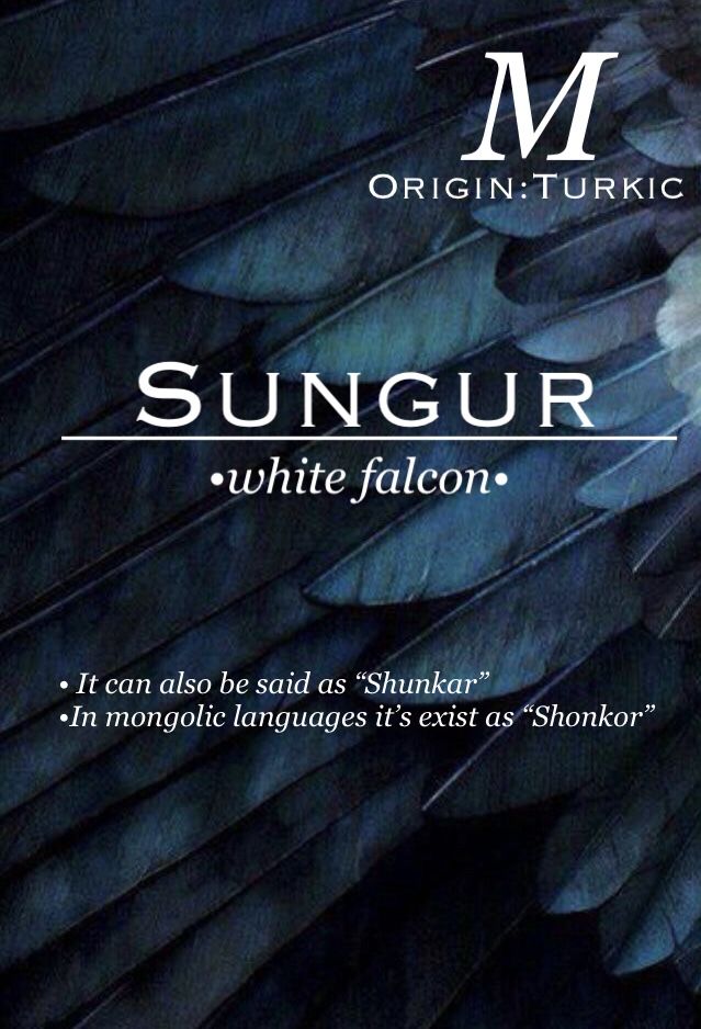 an advertisement for the origin turri sungur white falcon