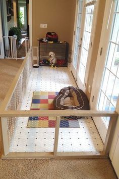 a dog is laying on the floor in front of an open door and looking out