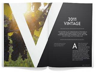 an open book with the title'2011 vintage'written in black and white on it