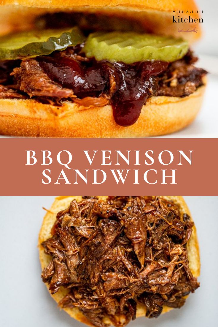 bbq venison sandwich with pickles and ketchup