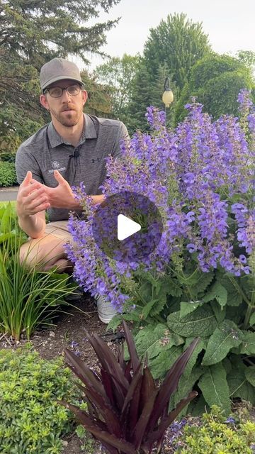 a man sitting on a bench in front of purple flowers and green plants with his thumb up