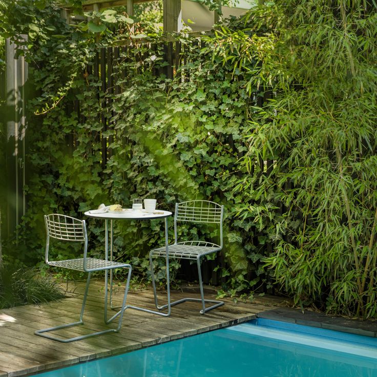 an outdoor table and chairs next to a swimming pool with plants growing on the wall