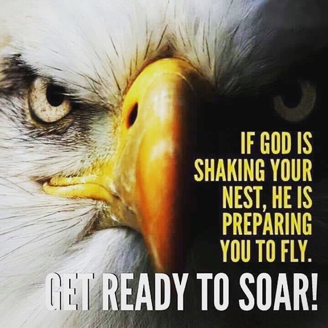 an eagle with the words, if god is shaking your nest, he's preparing you to fly get ready to soar