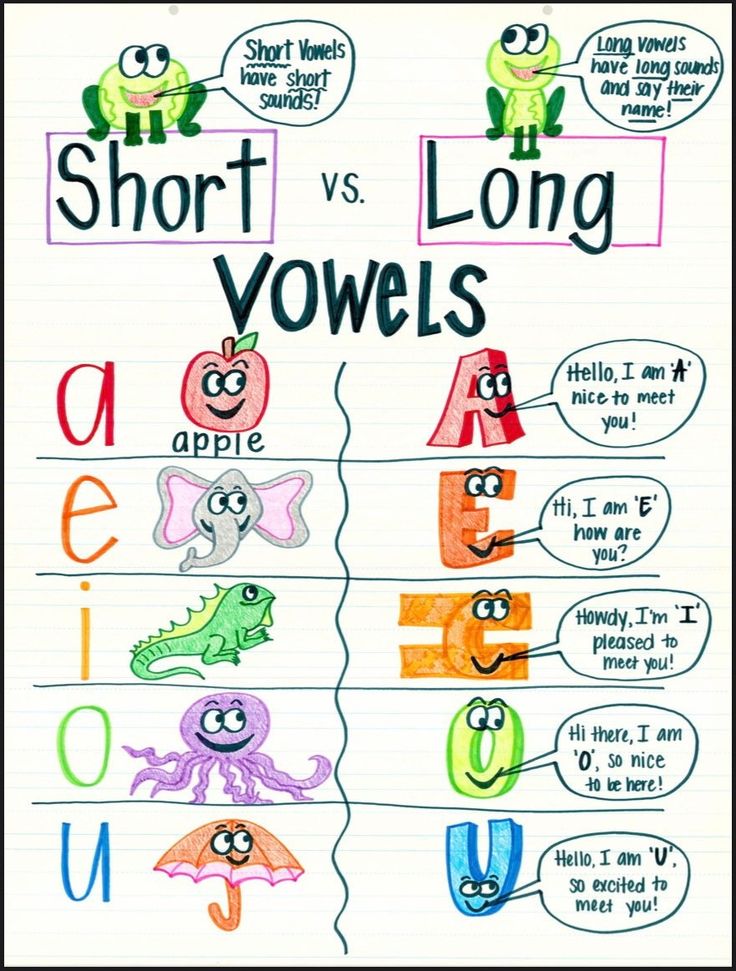 short and long words are used to describe the different types of animals in each language