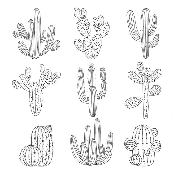 six cacti are shown in black and white, with one cactus on the left side