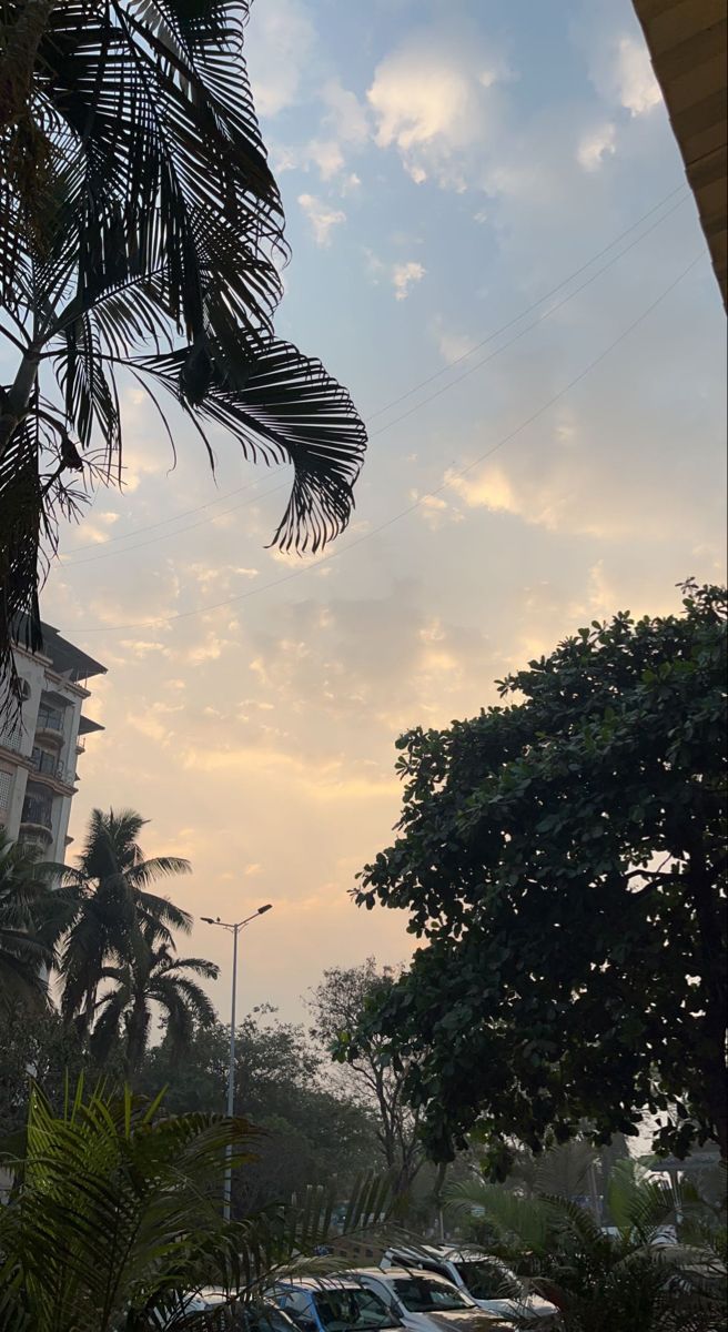 cars are parked on the street in front of some palm trees and buildings at sunset