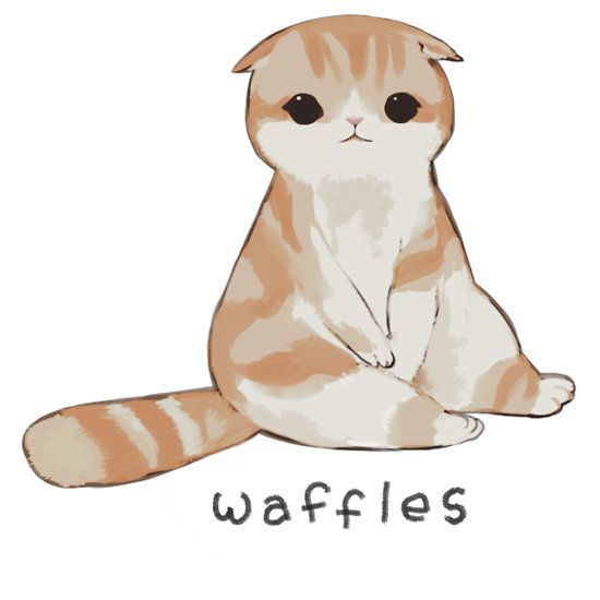 an orange and white cat sitting on the ground with words waffles written below it