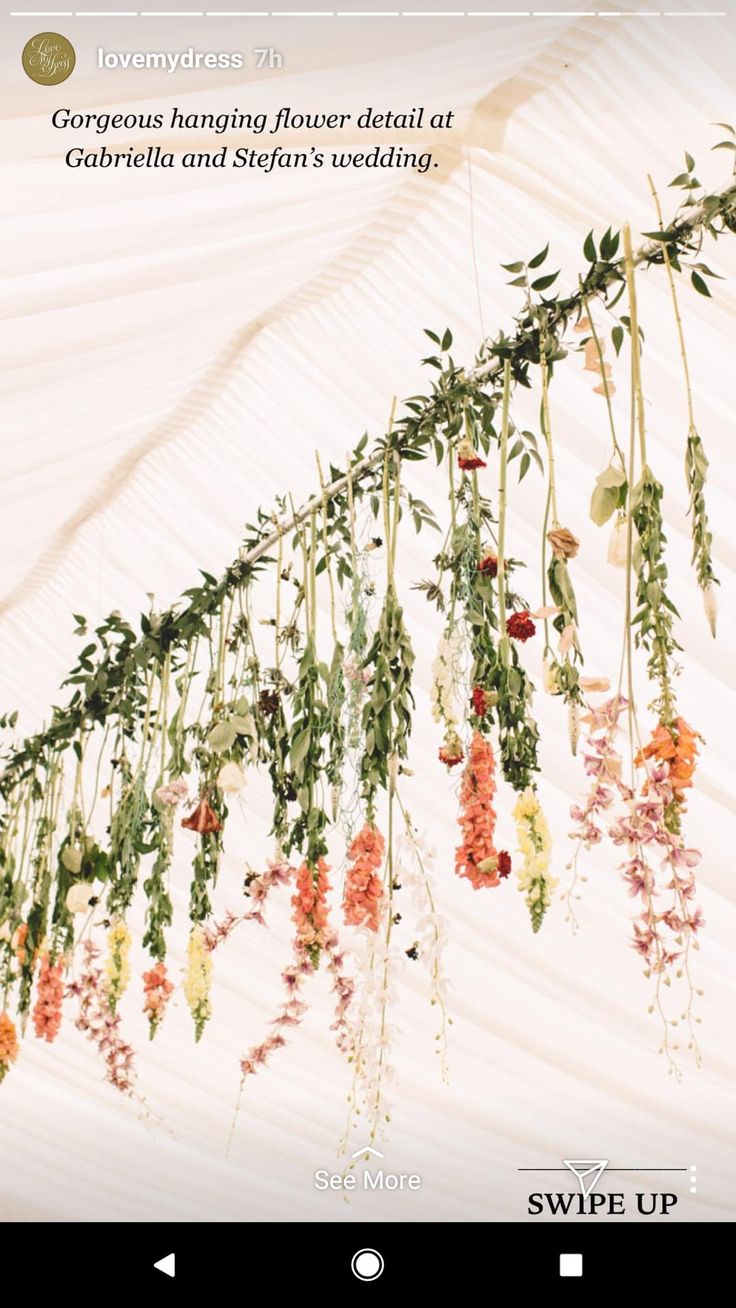 an image of flowers hanging from the ceiling