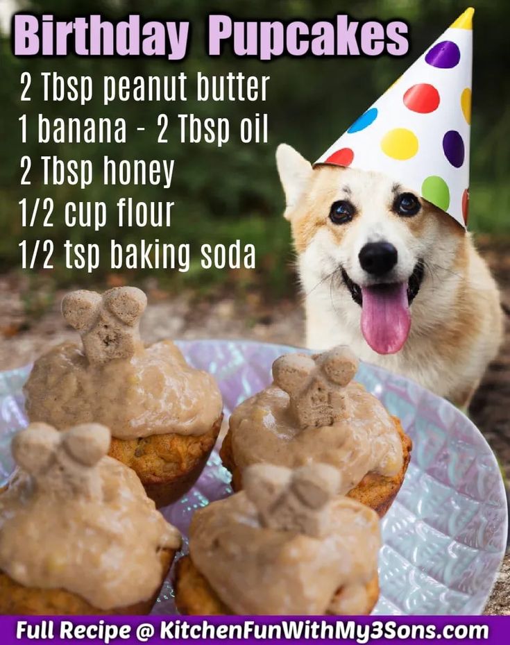 a birthday cupcakes recipe with a dog in the background