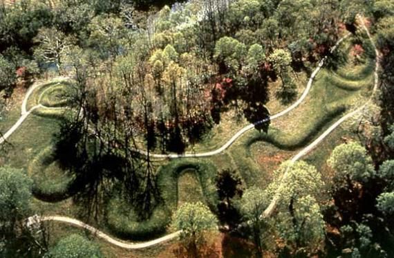 an aerial view of a winding road in the woods