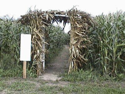 an open corn field with a sign in the middle