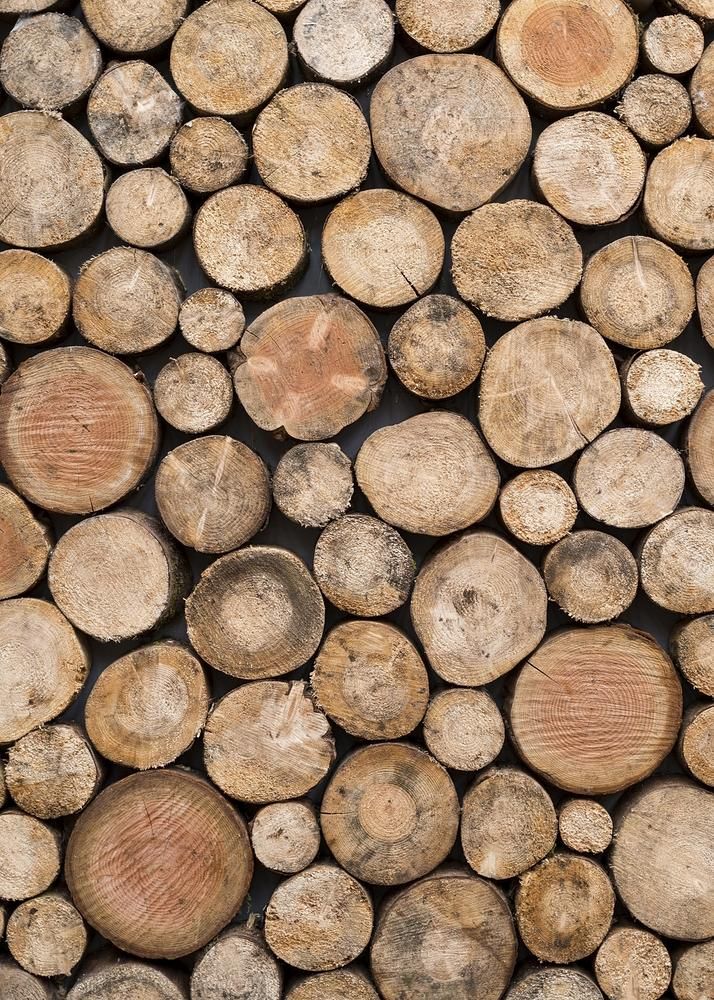 wood logs stacked on top of each other