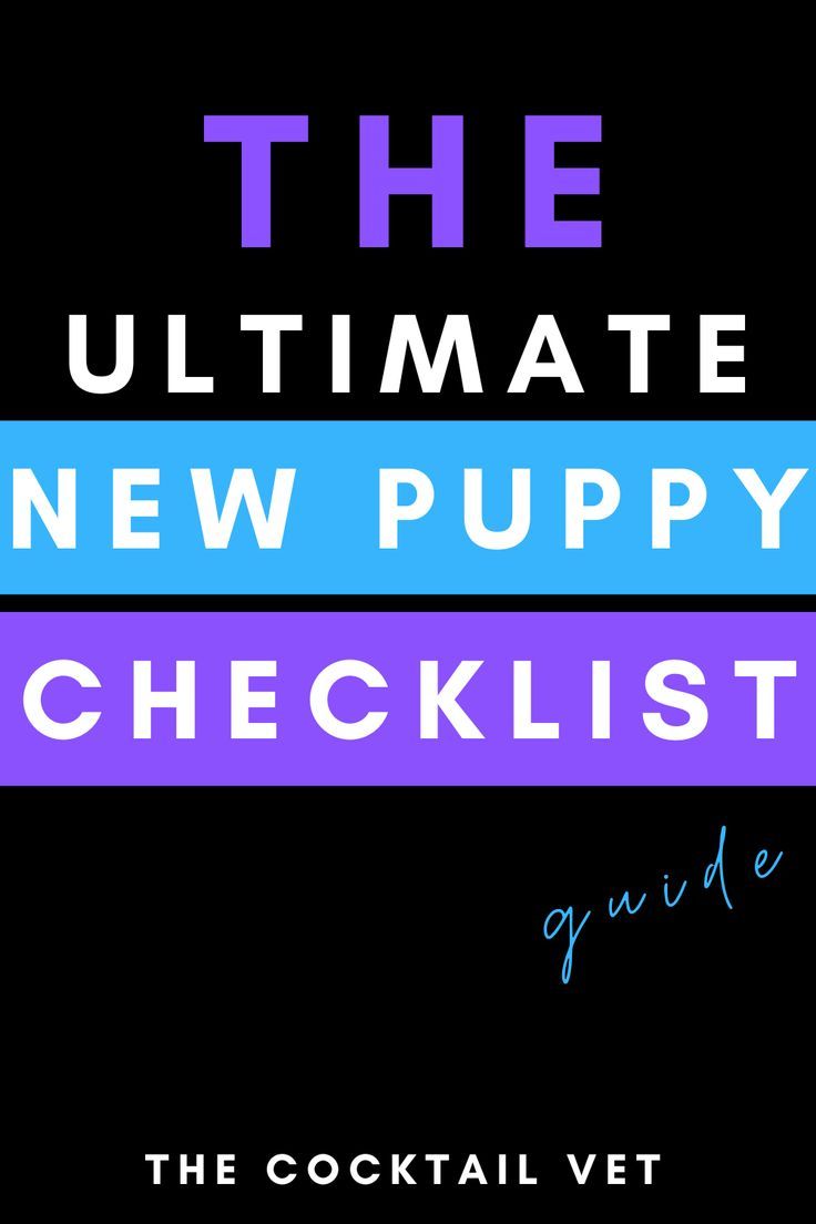 the ultimate new puppy checklist guide by the cocktail vet, featuring puppies for sale