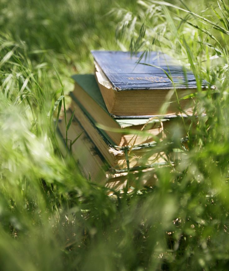 an open book sitting on top of a pile of books in the middle of tall grass