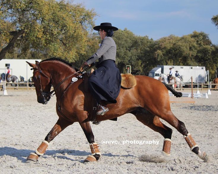 a woman riding on the back of a brown horse