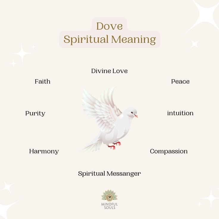 a white dove with its wings spread out and the words above it are written in different languages