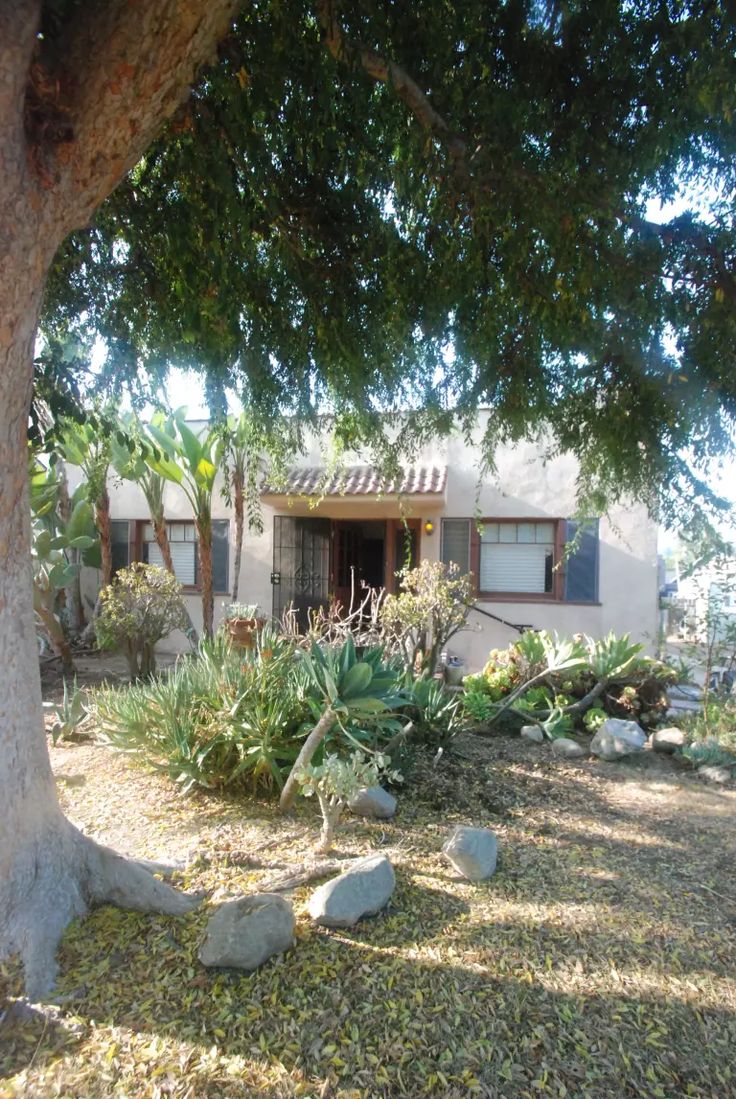 the house is surrounded by trees and rocks