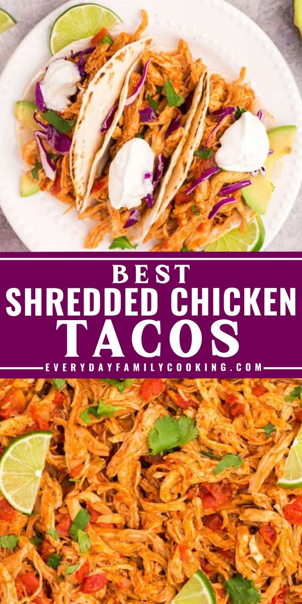 Unlock the secret to the easiest shredded chicken tacos ever — no special equipment needed, and you’ll be ready to serve in just 30 minutes! Shredded Chicken Sauce Recipes, Chicken Tacos Sauce, Chicken Breast Taco Recipes, Chicken Taco Sauce, Taco Recipes Chicken, Best Shredded Chicken Tacos, Chicken Taco Meat Recipe, Easy Shredded Chicken Tacos, Best Shredded Chicken