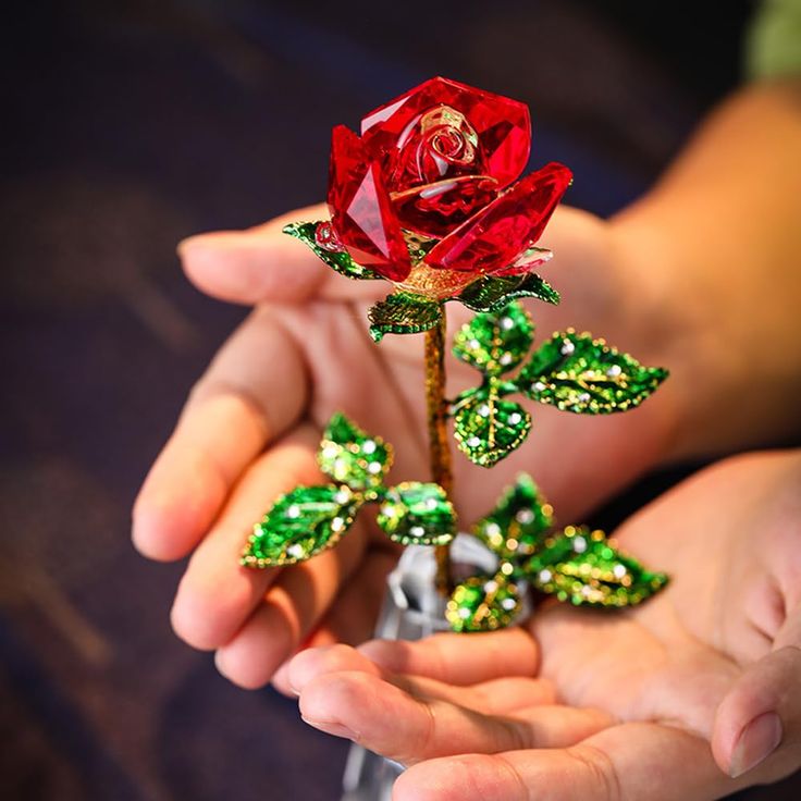 a person holding a red rose in their hands