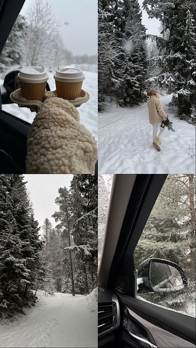 there are pictures of the inside of a car in the snow, and two people walking through the woods