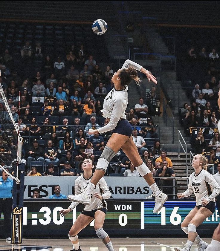 a volleyball player jumping up to hit the ball with her team mates watching from the sidelines