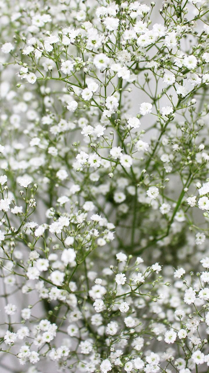 small white flowers in a vase on a table