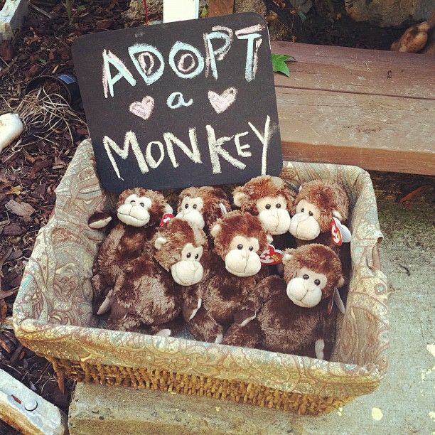 stuffed monkeys are sitting in a basket with a sign that says adopt a monkey on it