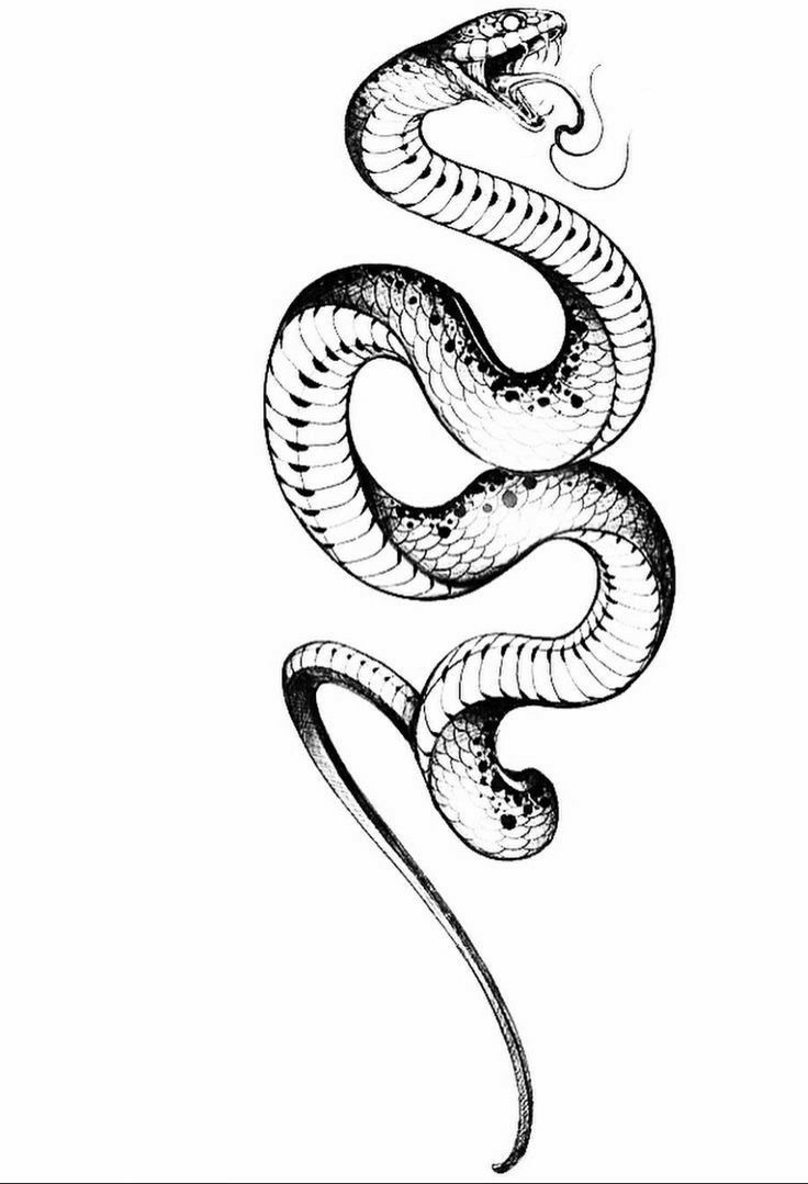 a black and white drawing of a snake