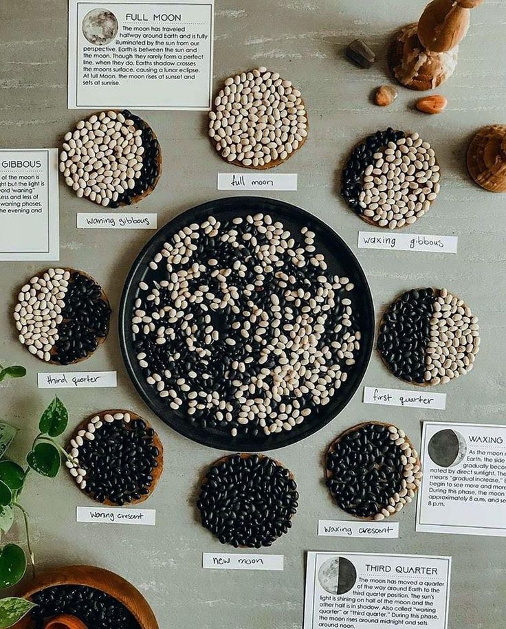 an assortment of seed and plant seeds displayed on a table with information about their varieties