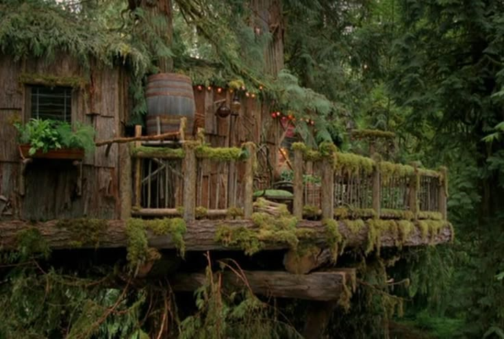 a tree house with moss growing on the roof