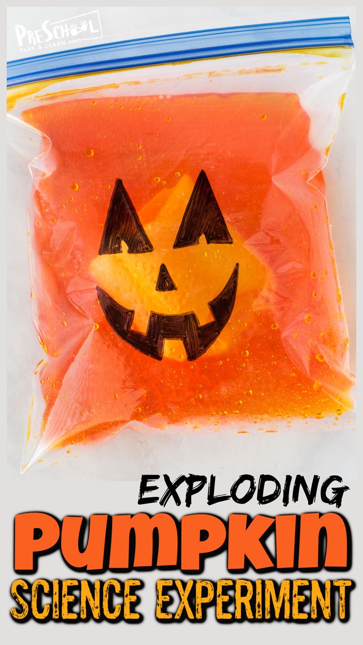 an orange bag filled with pumpkin science experiment