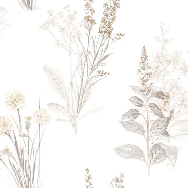 an image of some flowers on a white background