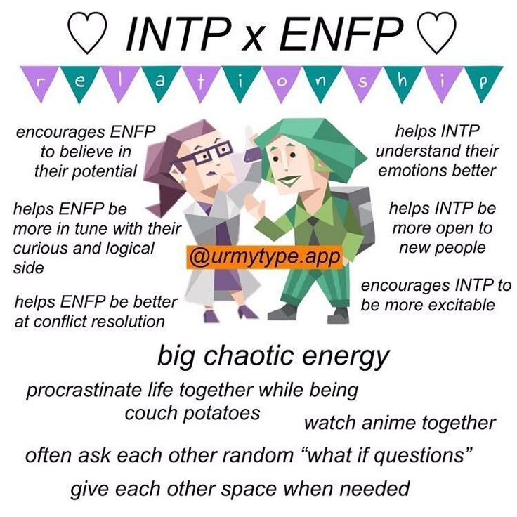 Enfp X Intp, Intp Love, Enfp Intp, Intp Relationships, Relationship Meme, Finding Friends, Mbti Ships, Enfp Relationships, Enfp Personality